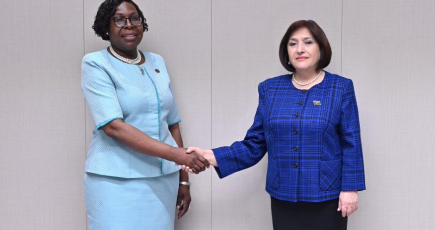 Milli Məclisin sədri Mozambikin Baş naziri ilə görüşüb