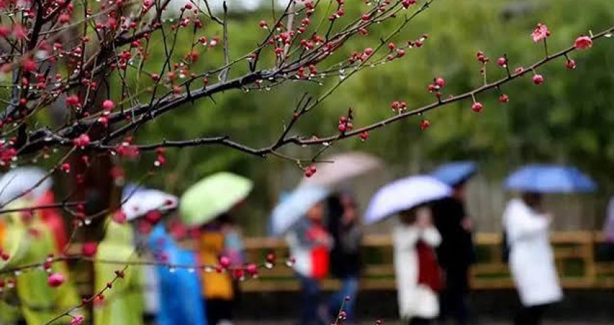 Bakıya normadan artıq yağış yağıb - faktiki hava