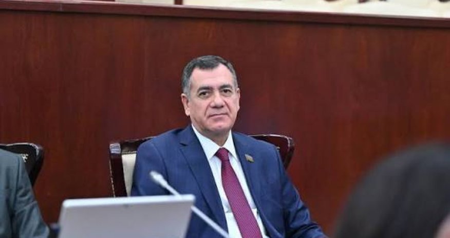 Həsənquliyev: Cəzaların sərtləşdirilməsi narkotiklərlə mübarizədə effektiv deyil