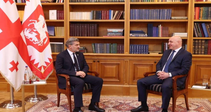 Gürcüstan Prezidenti Azərbaycana yeni təyin olunmuş səfirlə görüşüb