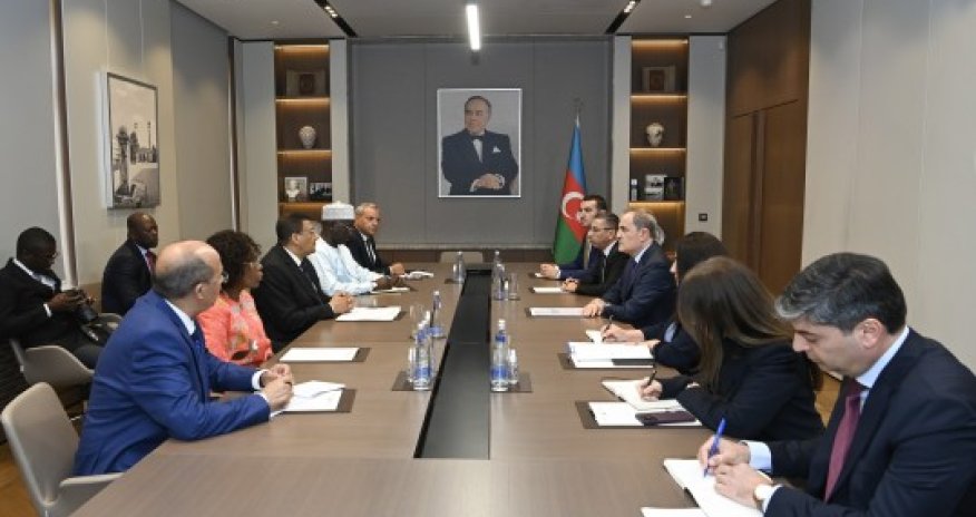 Ceyhun Bayramov Pan-Afrika Parlamentinin prezidenti ilə görüşüb