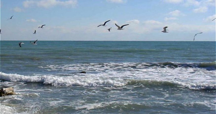 Magnitude 3.3 earthquake strikes Caspian