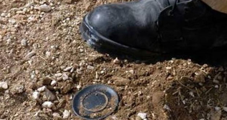 Ötən həftə 1239 hektar ərazi minalardan təmizləndi