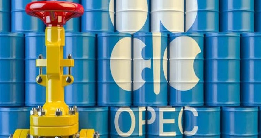 ОПЕК подтвердила ключевую роль нефти в энергобалансе