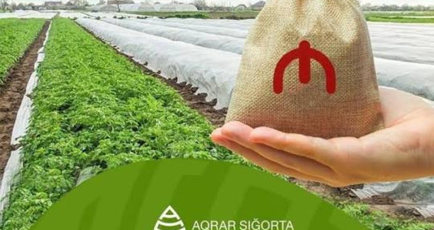 Azərbaycanda Aqrar Süni İntellekt layihəsi üzrə 13 həll istismara verilib