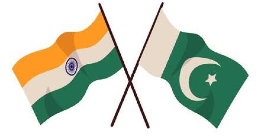 Hindistan və Pakistan AQEM sammitində Kəşmir məsələsi üzrə mübahisə ediblər