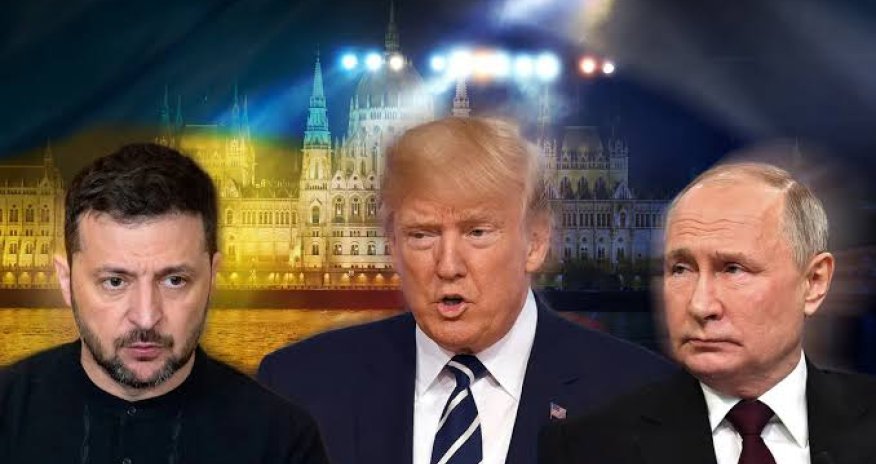 США предложат Путину прямые переговоры с Трампом и Зеленским