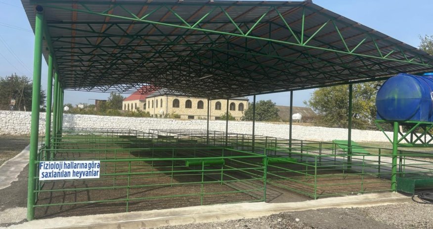 Şəmkirdə yeni heyvan satışı bazarı fəaliyyətə başlayıb