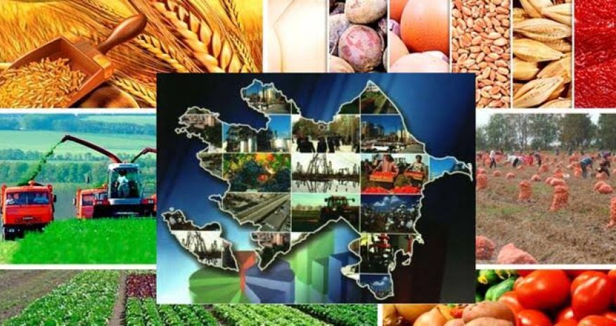 Azərbaycanın regionlarına 2025-ci ildə 10 milyard manatdan çox investisiya yatırılıb