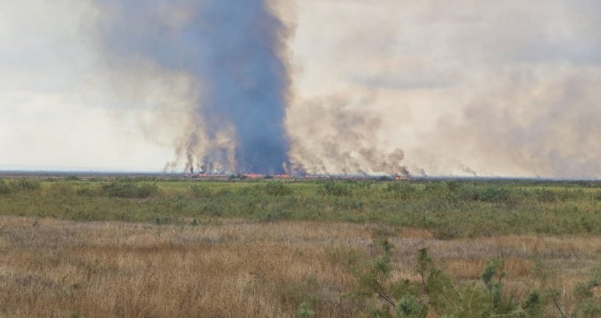 
Cəlilabadda açıq ərazidə yanğın başlayıb