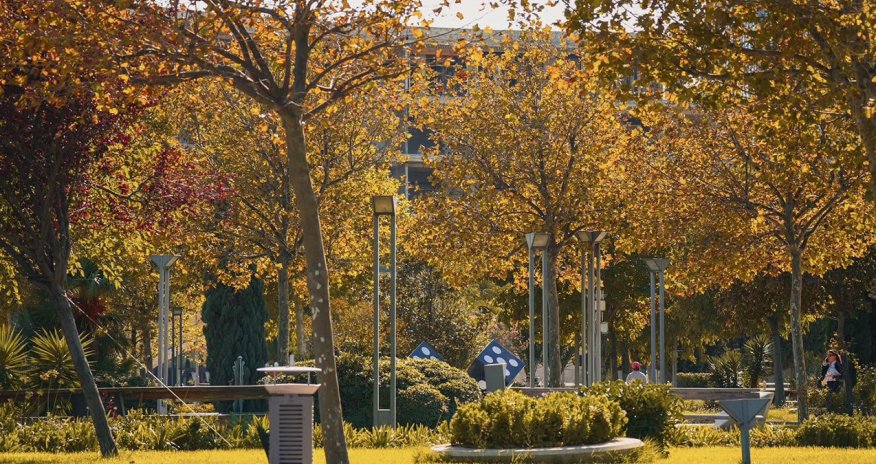 Sabahın hava proqnozu açıqlanıb
