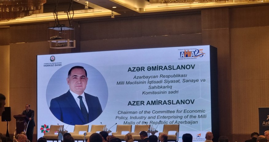Mikromaliyyənin kredit bazarındakı payı 6 faizdir - komitə sədri
