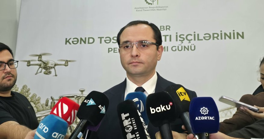 Ərzaqlıq buğda istehsalı 170 min tonu ötüb